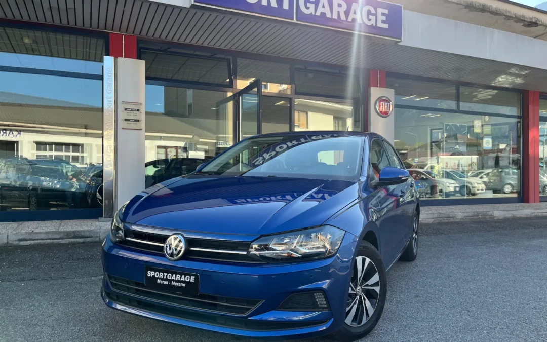 Polo Blu